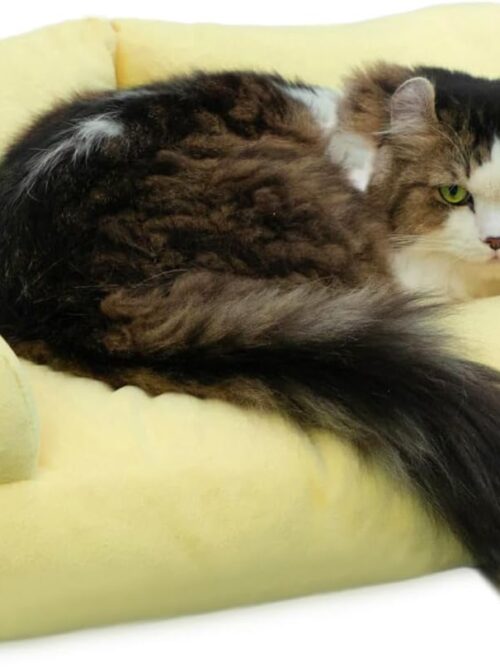 Pet Sofa Soft  Pet Sofa Beds for Medium Small Cats and Dogs, Yellow